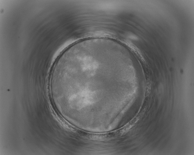 X0000084561086200703091739