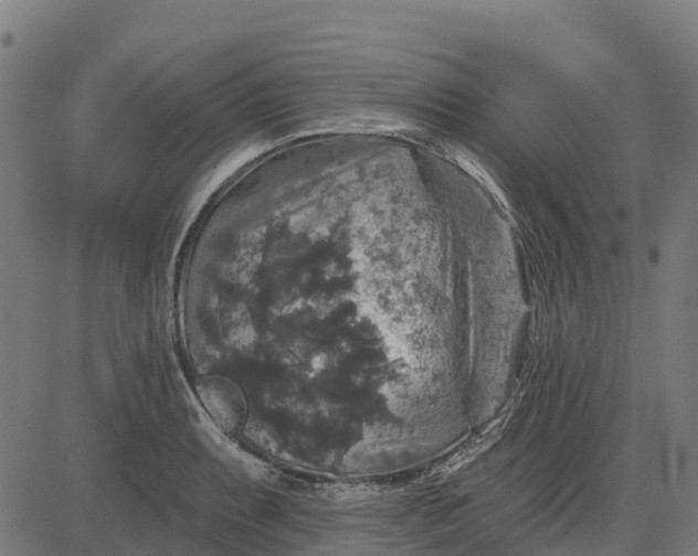 X0000084561087200703091739