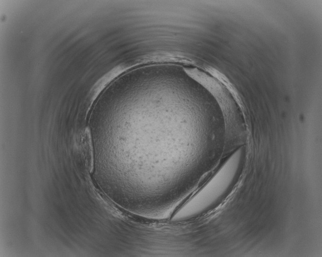 X0000084561089200703091739