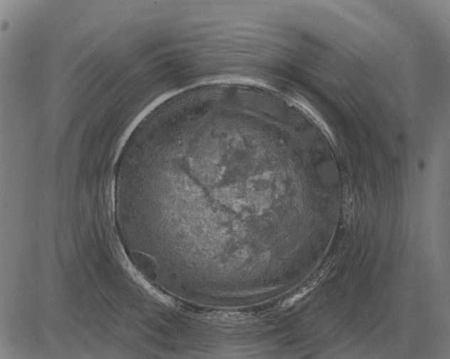 X0000084561092200703091739