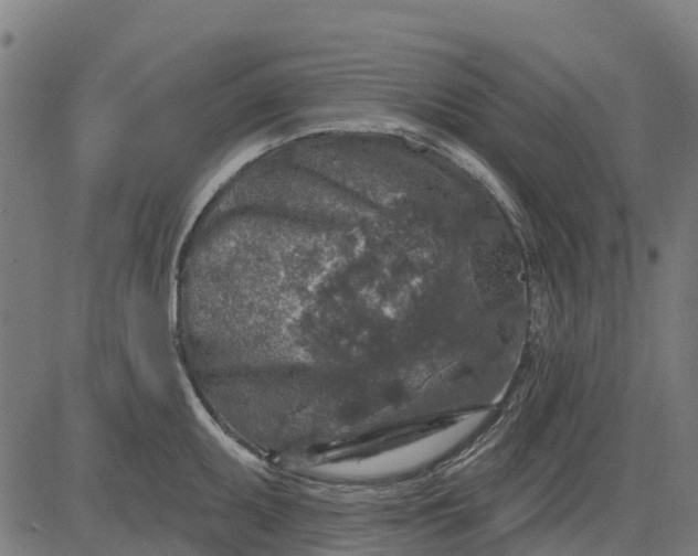 X0000084561095200703091739