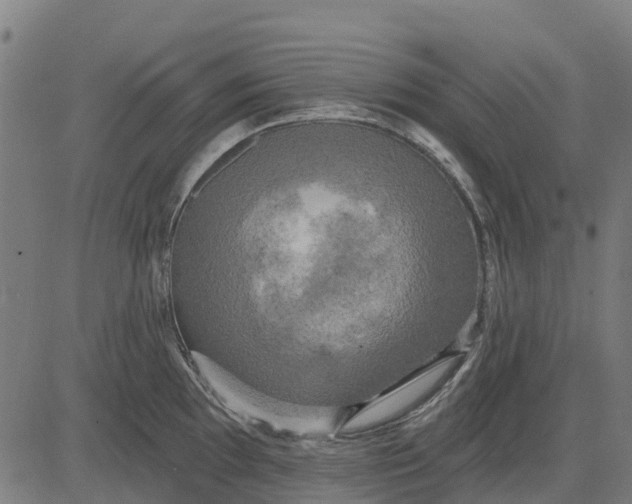 X0000084561097200703091739