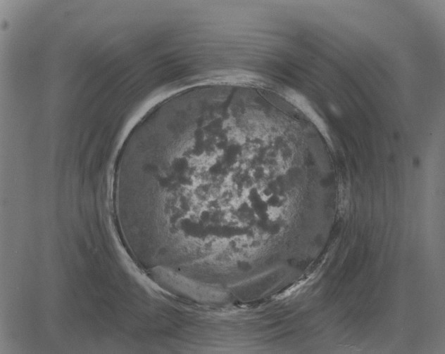 X0000084561099200703091739