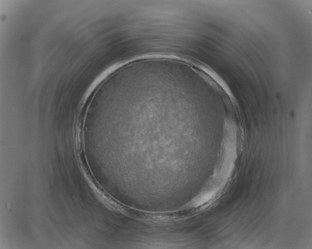 X0000084561101200703091739