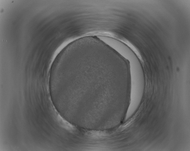 X0000084561102200703091739