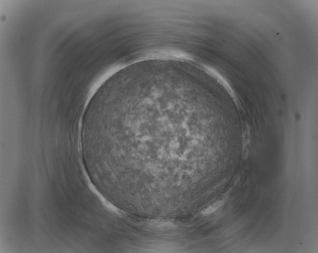 X0000084561103200703091739