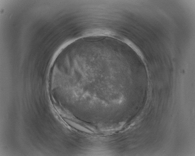 X0000084561104200703091739