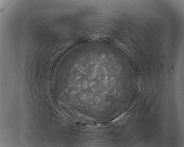 X0000084561105200703091738