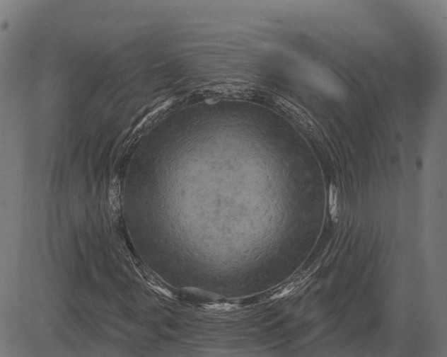 X0000084561107200703091738