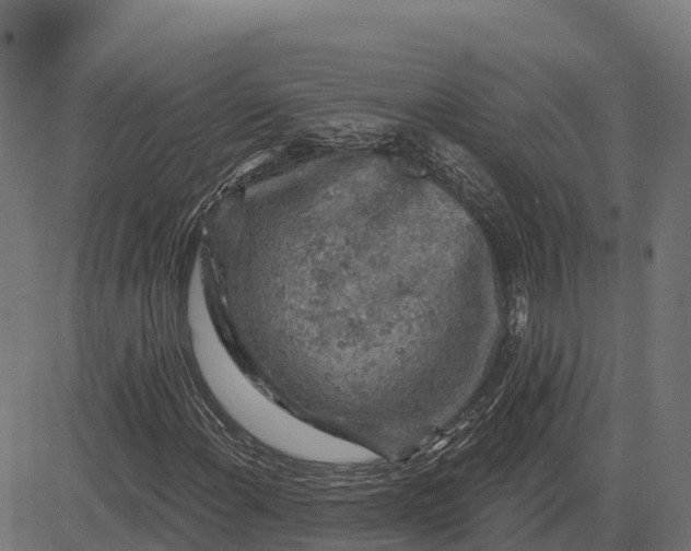 X0000084561108200703091738