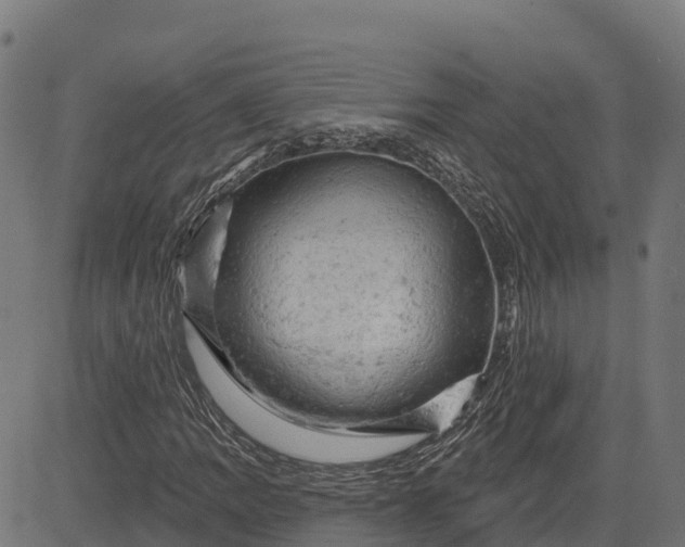 X0000084561109200703091738