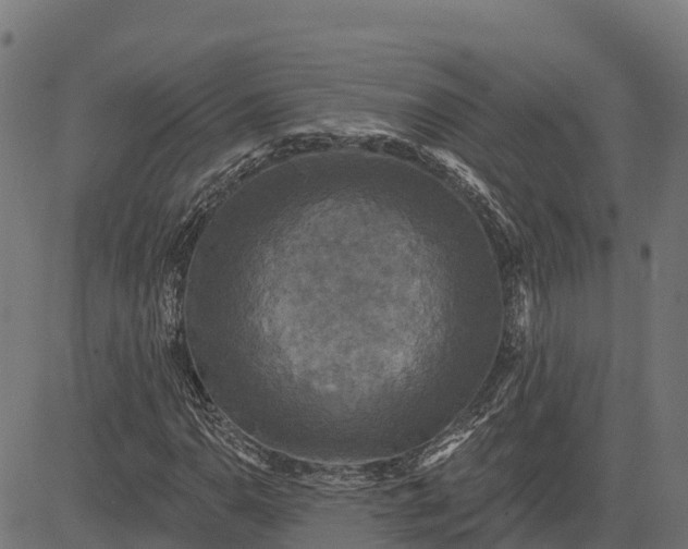 X0000084561110200703091738