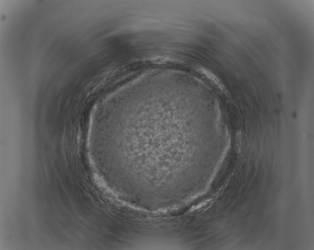 X0000084561111200703091738