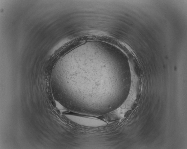 X0000084561112200703091738