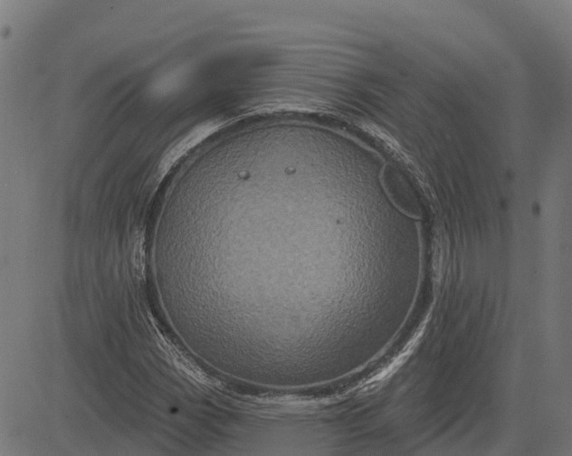 X0000084561113200703091738