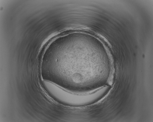 X0000084561114200703091738