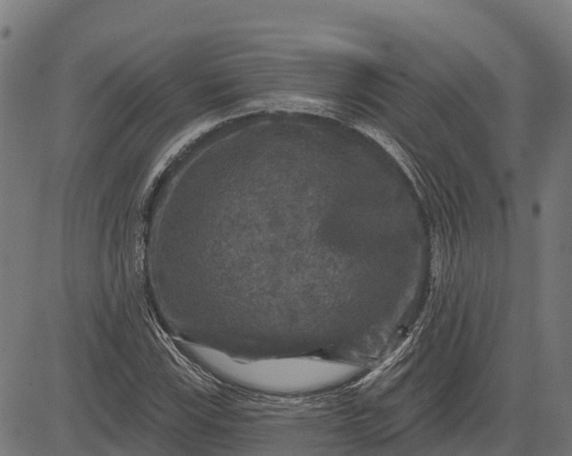 X0000084561115200703091738