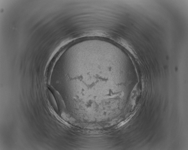 X0000084561116200703091738