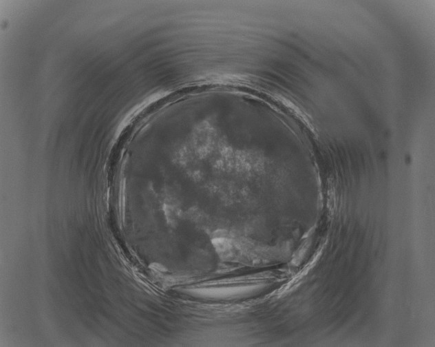 X0000084561117200703091738