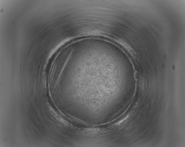 X0000084561118200703091738