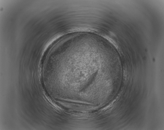 X0000084561119200703091738