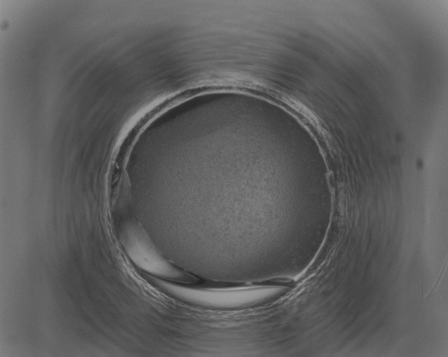 X0000084561120200703091738