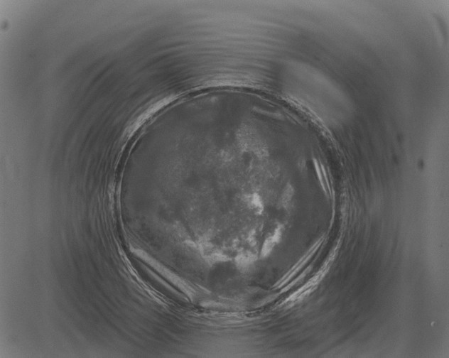 X0000084561121200703091738