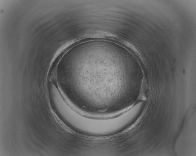 X0000084561122200703091738