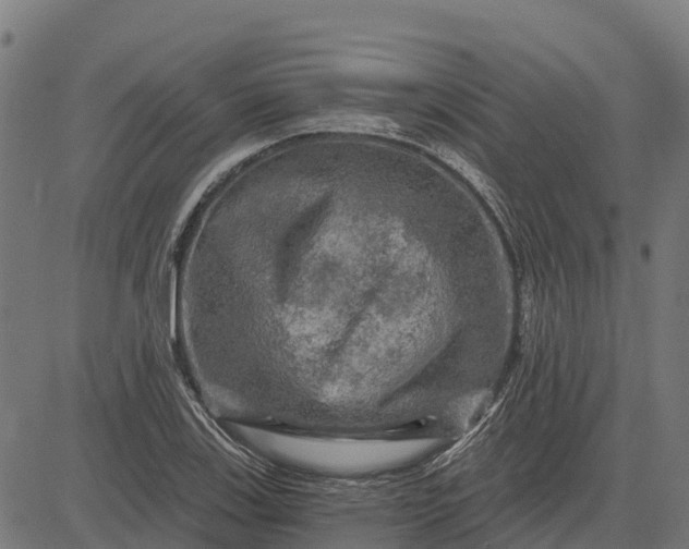 X0000084561123200703091738