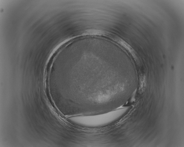 X0000084561124200703091738