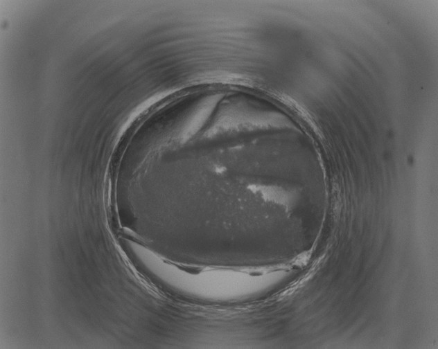 X0000084561125200703091738