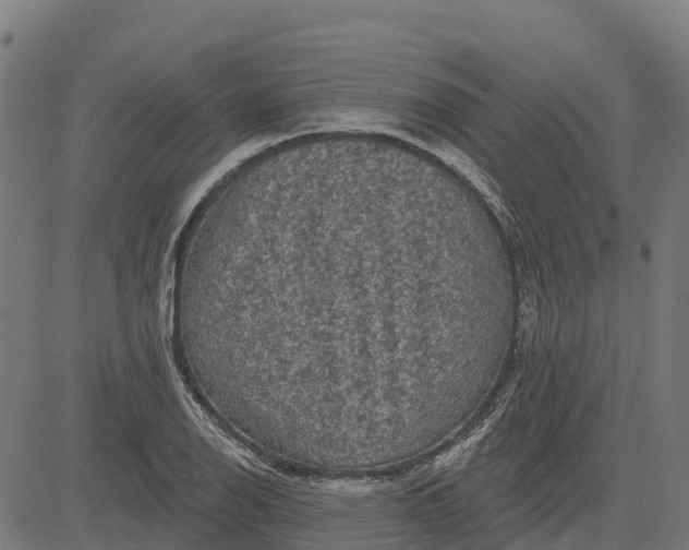 X0000084561126200703091738