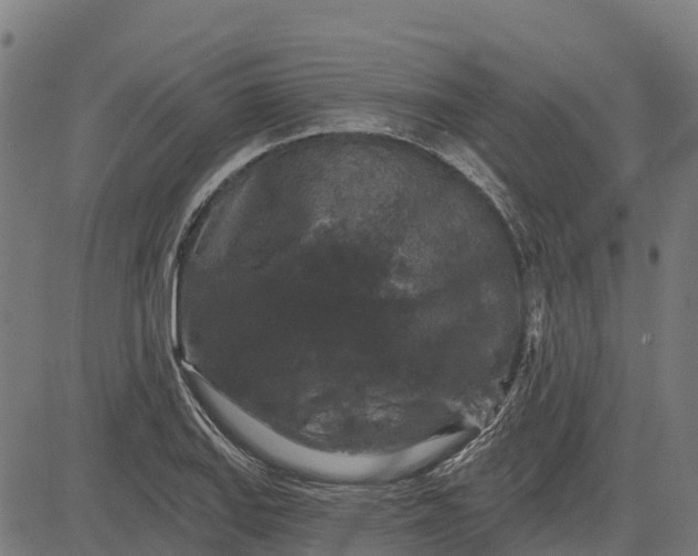 X0000084561127200703091738