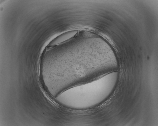 X0000084561128200703091738