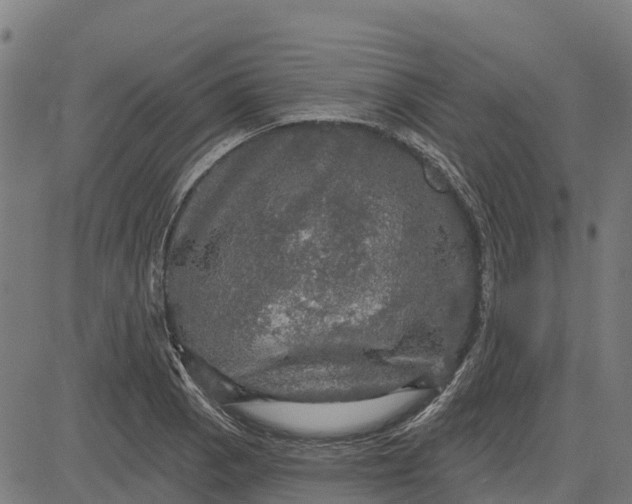 X0000084561129200703091738