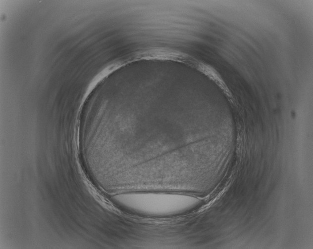 X0000084561130200703091738