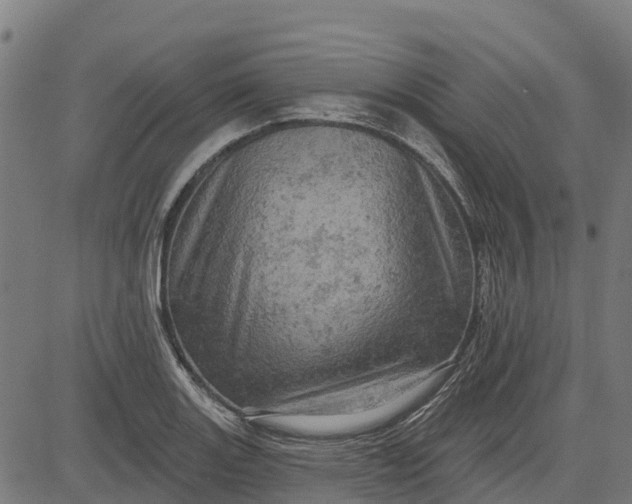 X0000084561131200703091738