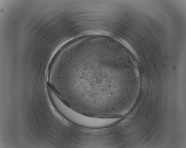 X0000084561132200703091738