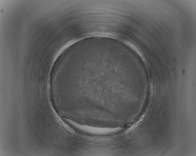 X0000084561133200703091738