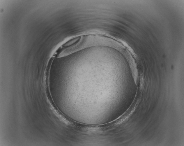 X0000084561134200703091738