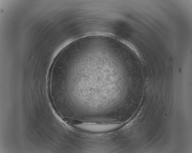 X0000084561135200703091738