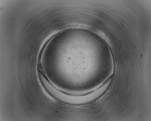 X0000084561136200703091738