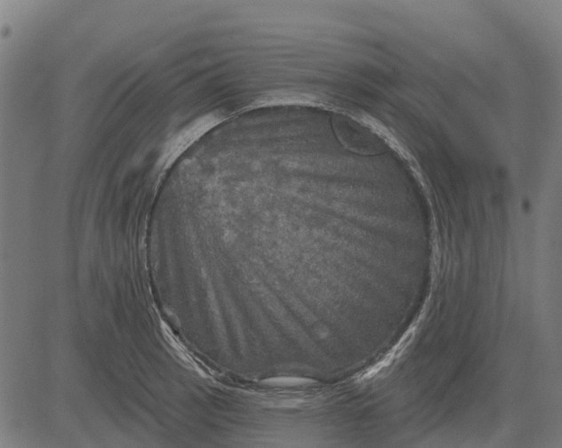 X0000084561137200703091738