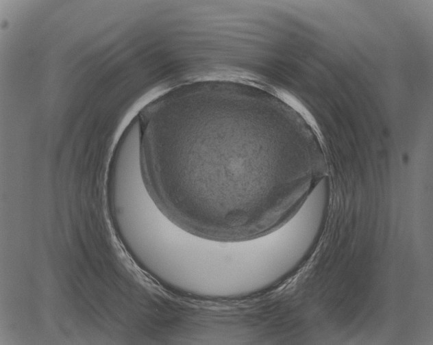 X0000084561138200703091738