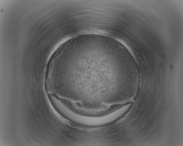 X0000084561139200703091738