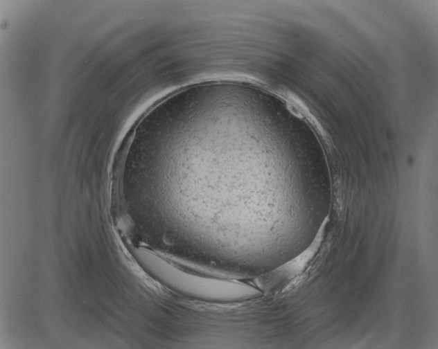 X0000084561140200703091738