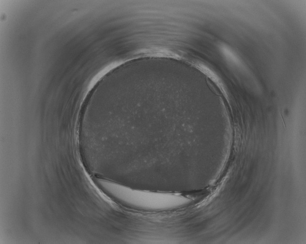 X0000084561141200703091738