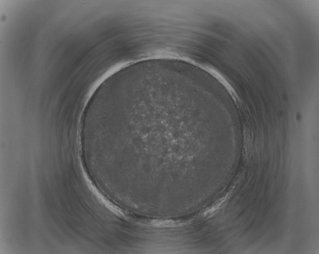 X0000084561142200703091738