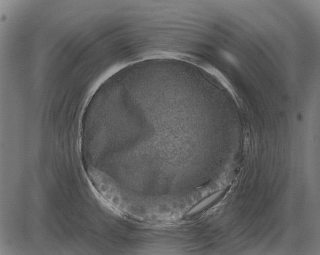 X0000084561143200703091738