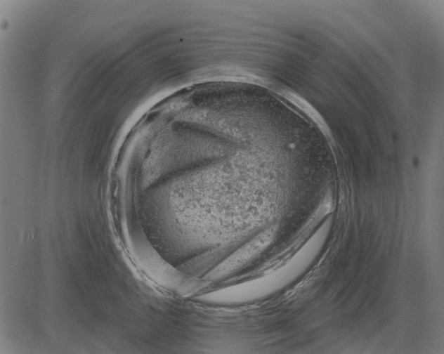 X0000084561144200703091738